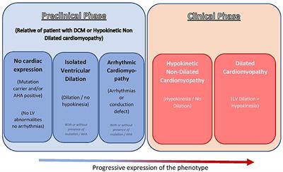 Multi-Modality Imaging in Dilated Cardiomyopathy: With a Focus on the Role of Cardiac Magnetic Resonance